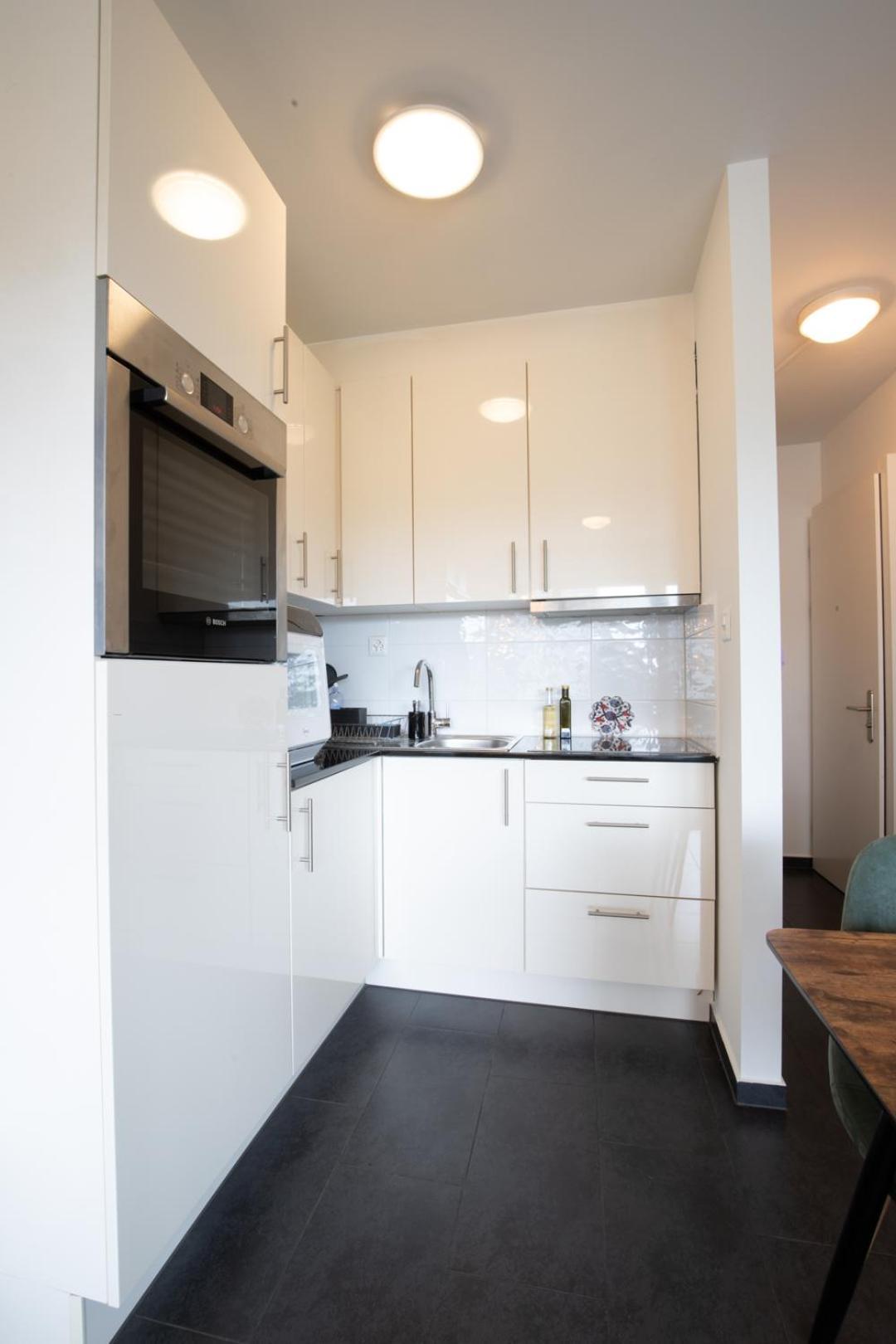 Special Modern Lisa Apartment Basel, Bahnhof Grossbasel 10-Star Экстерьер фото